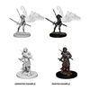 Dungeons & Dragons Nolzur's Marvelous Miniatures: Aasimar Female Paladin