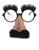 Groucho Marx - Groucho Glasses