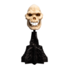 The Lord of the Rings - Skull of Lurtz Miniature Skull