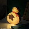 Animal Crossing Bell Bag Box Light