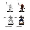 Dungeons & Dragons Nolzur's Marvelous Miniatures: Bandits