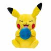 Pokemon -  Pikachu with Oran Berry 20Cm Plush