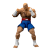 Street Fighter II - 6" Sagat Figure