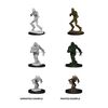 Dungeons & Dragons Nolzur's Marvelous Miniatures: Blights