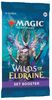 Magic the Gathering - Wilds of Eldraine Set Booster